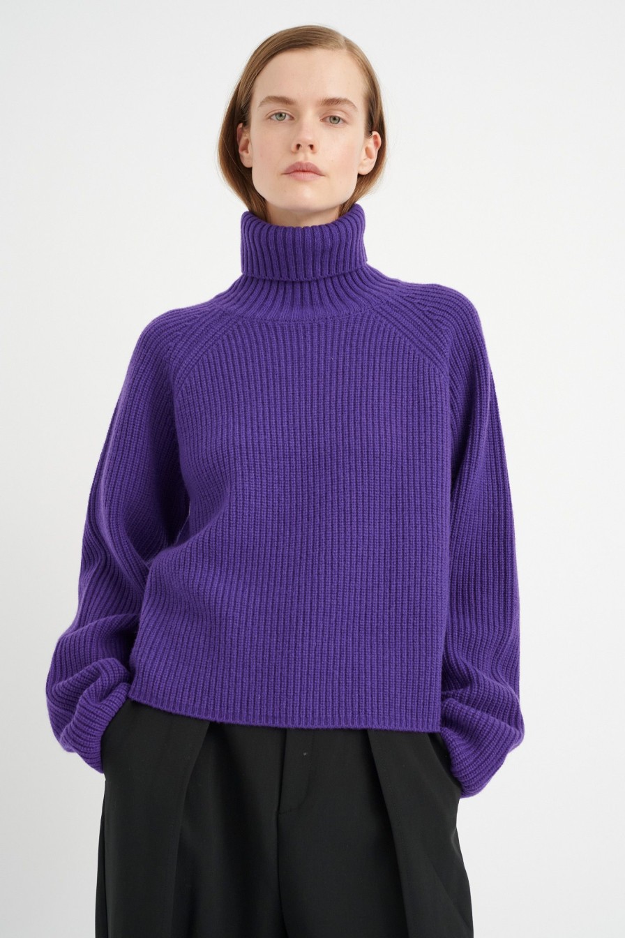 Kvinne InWear Gensere | Priyaiw Pullover,Lilla